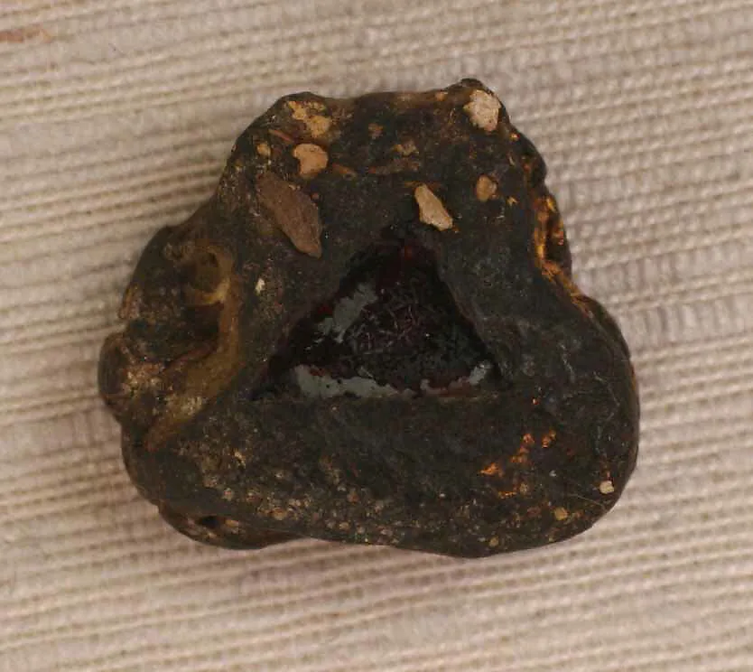 Plaque for a Collar or Necklace — Unknown