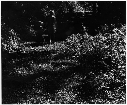 [Two Children in Forest, From Behind]