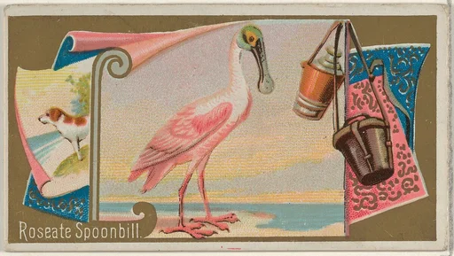 Roseate Spoonbill, from the Game Birds series (N13) for Allen & Ginter Cigarettes Brands