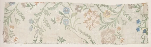 Fragment
