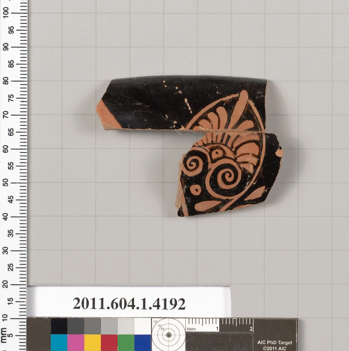 Terracotta rim fragment of a kylix (drinking cup) — Unknown