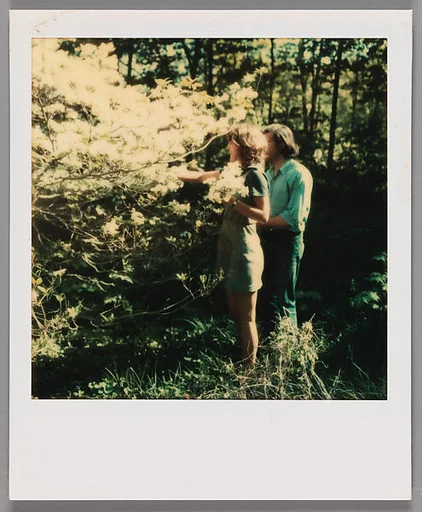 [Jerry Thompson and Jane Corrigan Pruning a Tree]