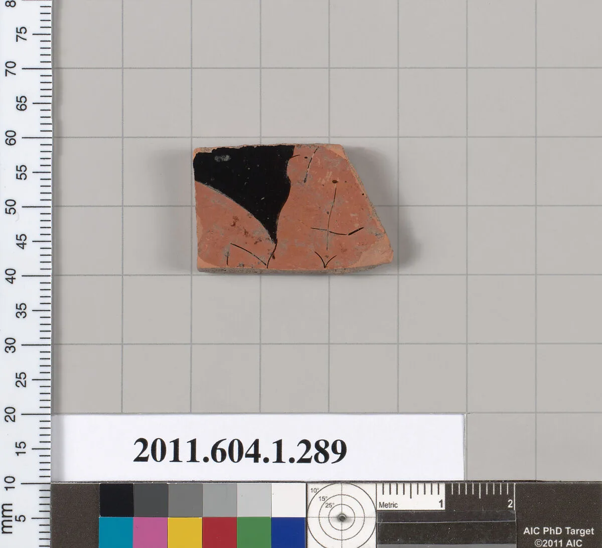 Terracotta fragment of a kylix (drinking cup) — Unknown