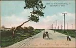 Lynn and Nahant Roadway, - The Half-way Tree — Unknown