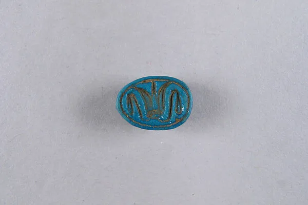 Scarab Decorated with a Lotus Flower — Unknown