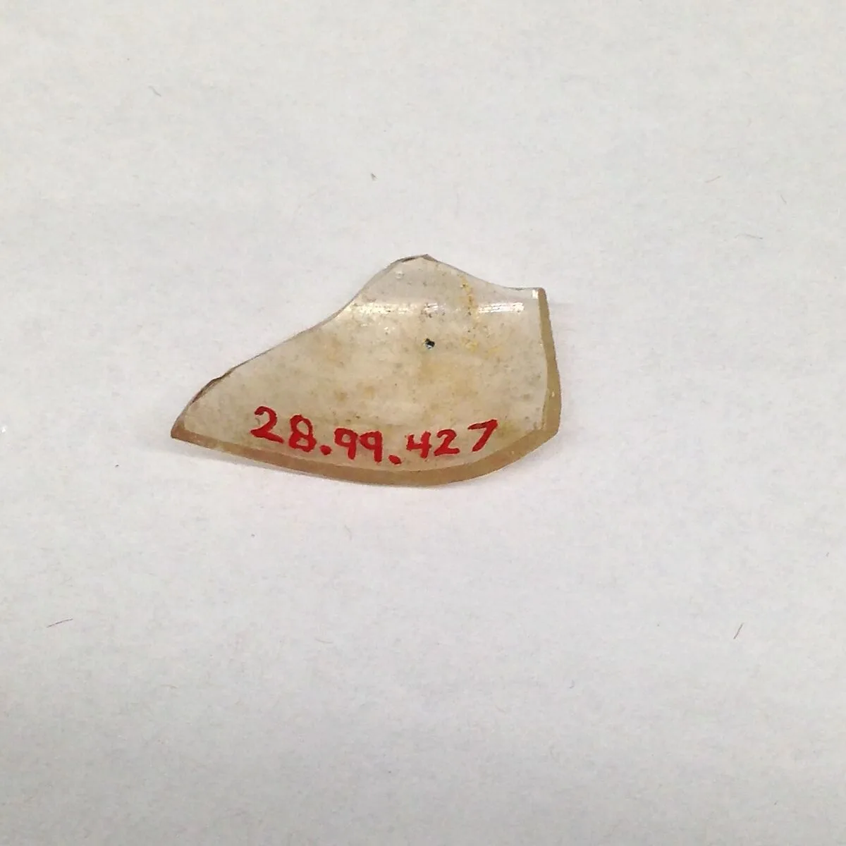 Fragment — Unknown