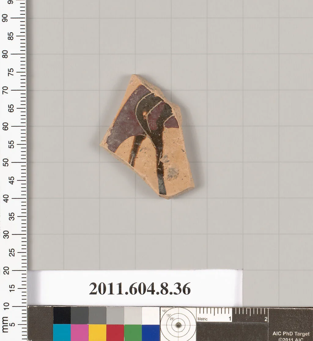 Terracotta fragment of a closed shape — Unknown