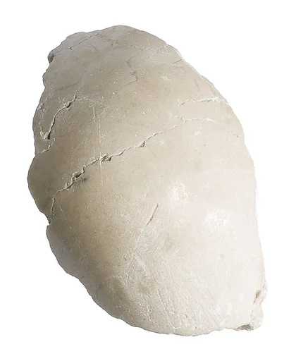 Elbow or shoulder