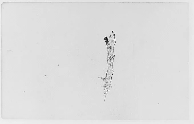 Study of a Tree Limb (from Sketchbook) — Henry Ward Ranger