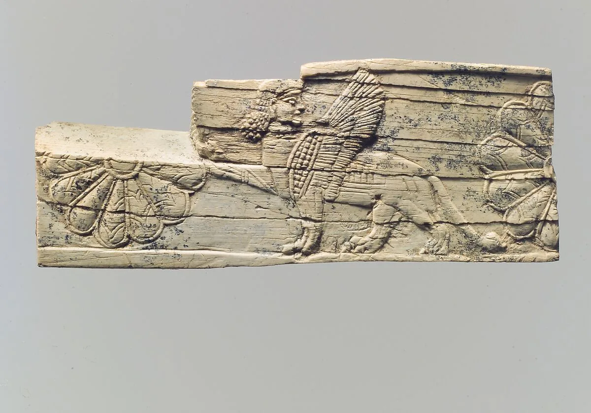 Panel fragment — Unknown