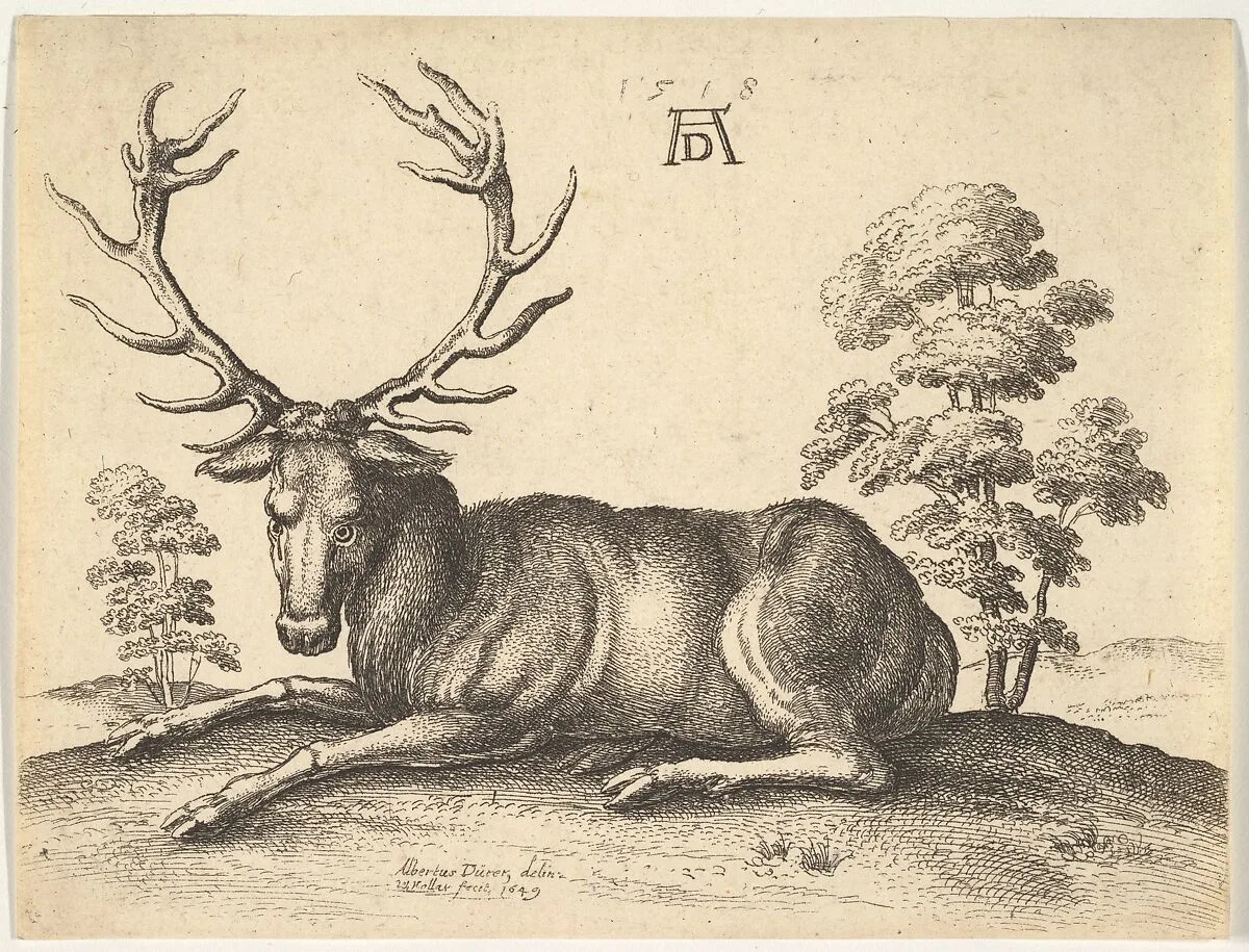 Stag lying to left — Albrecht Dürer|Wenceslaus Hollar
