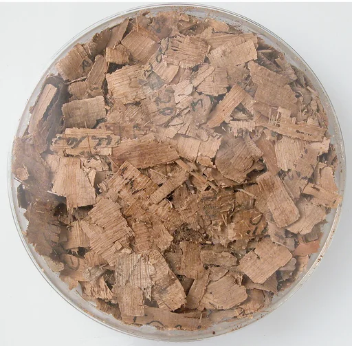Papyri Fragments