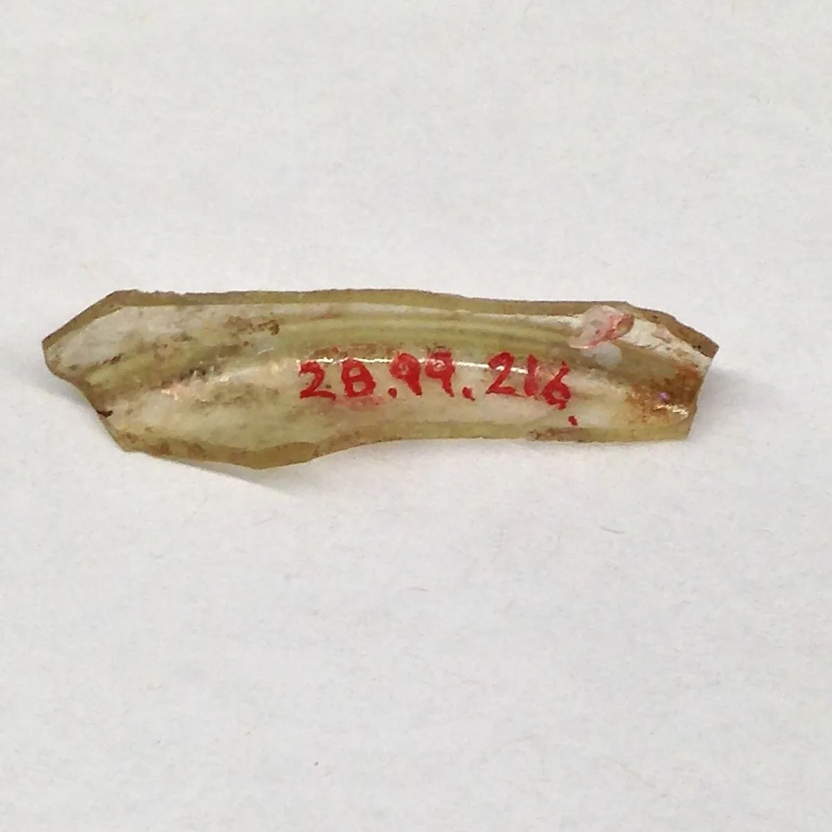 Fragment — Unknown