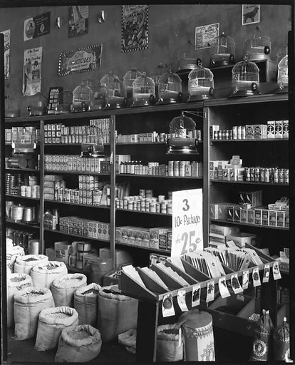 [Seed Store Interior, Vicksburg, Mississippi]