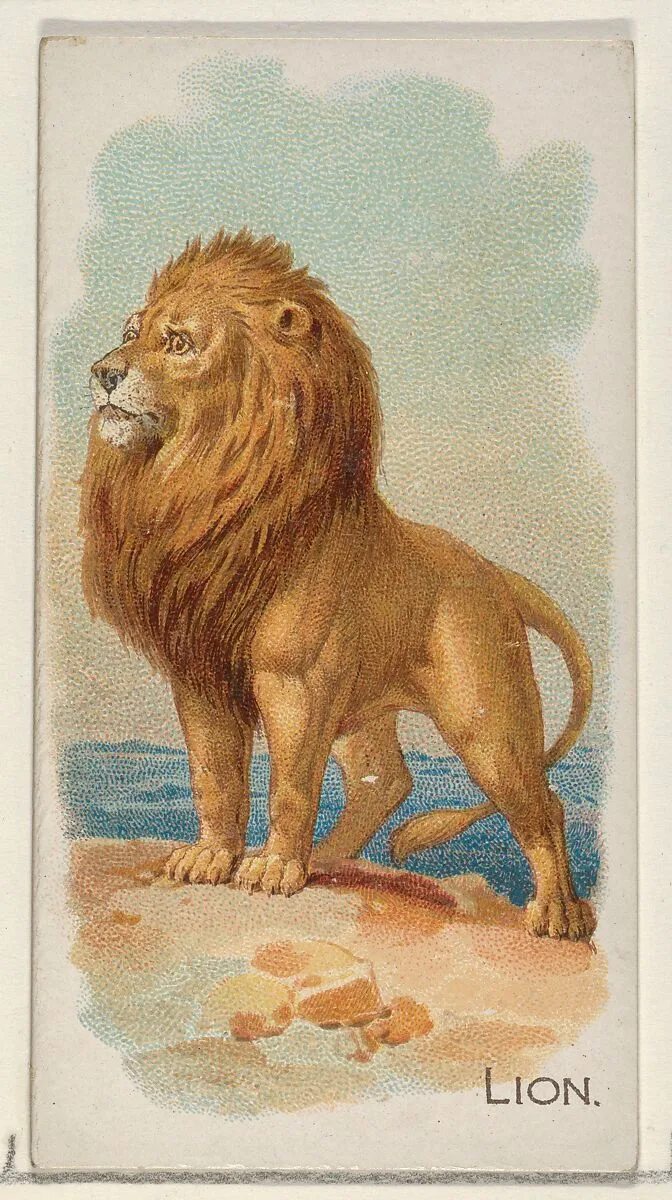 Lion, from the Quadrupeds series (N21) for Allen & Ginter Cigarettes — Allen & Ginter|Lindner, Eddy & Claus