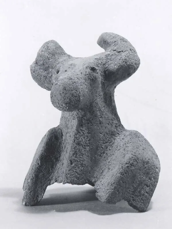 Bull's head — Unknown