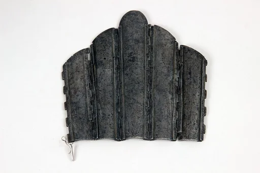 Arm Guard