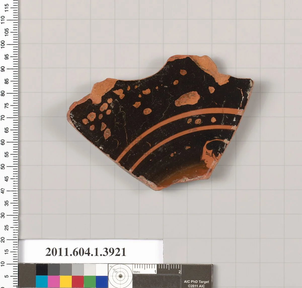Terracotta fragment of a kylix (drinking cup) — Unknown