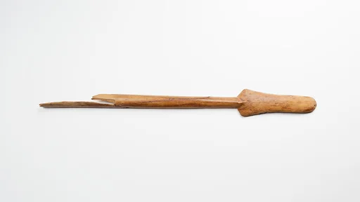 Scepter case (?)