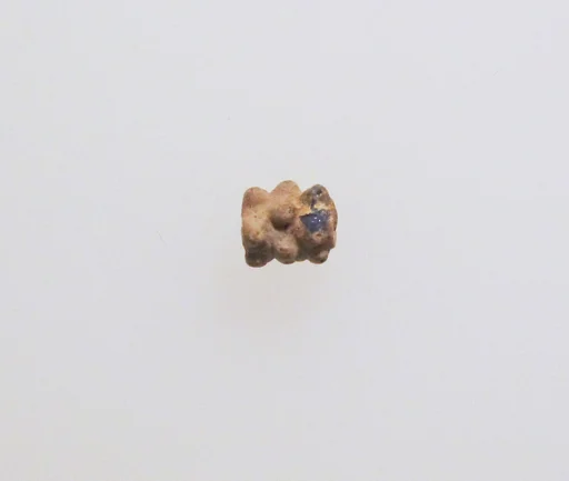 Bead