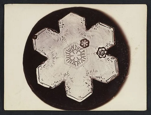 [Snow Crystal]