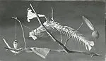 Mobile — Lodewijk Karel Bruckman