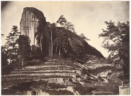 [Mountain and Rice Fields]
