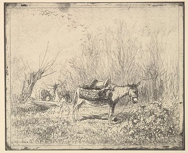 Donkey — Charles-François Daubigny|Maurice Le Garrec