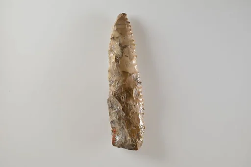 Bifacial Sickle Insert