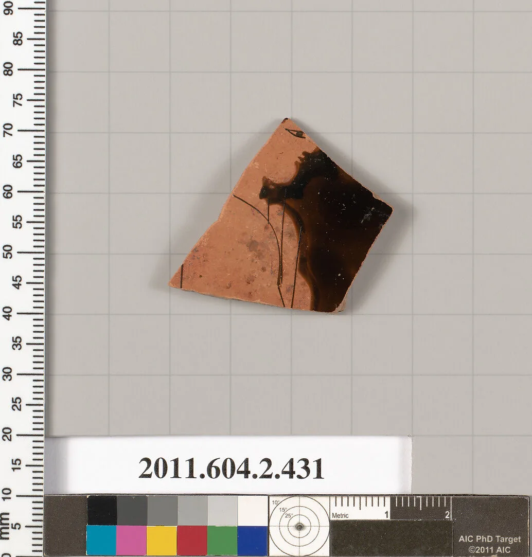 Terracotta fragment of a column-krater (bowl for mixing wine and water) — Unknown