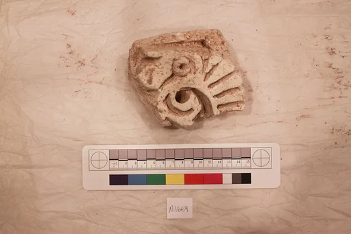Stucco Fragment