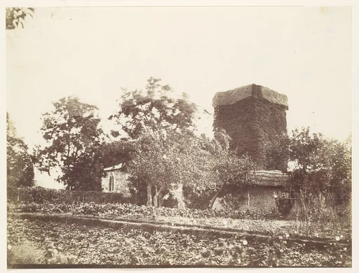 [Vegetable Garden and Ivy Covered Tower]