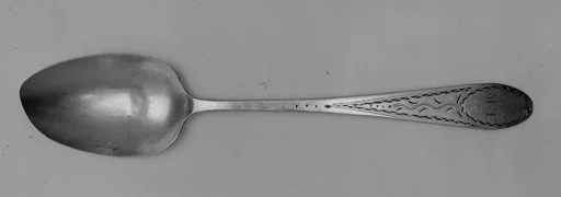 Spoon