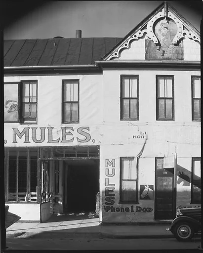 [Detail of Lum Brothers Stables Façade, Natchez, Mississippi]