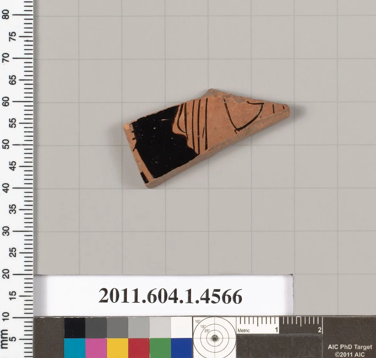 Terracotta fragment of a kylix (drinking cup) — Unknown