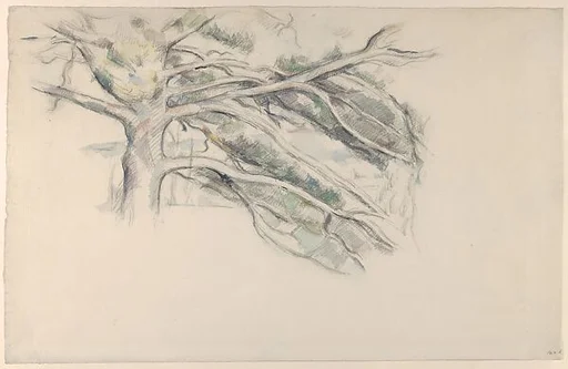 Large Pine, Study