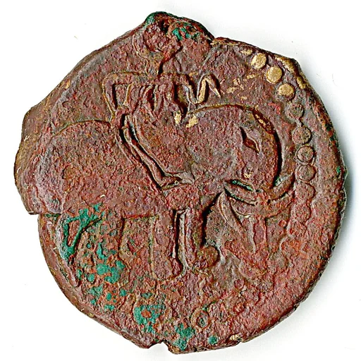 Coin