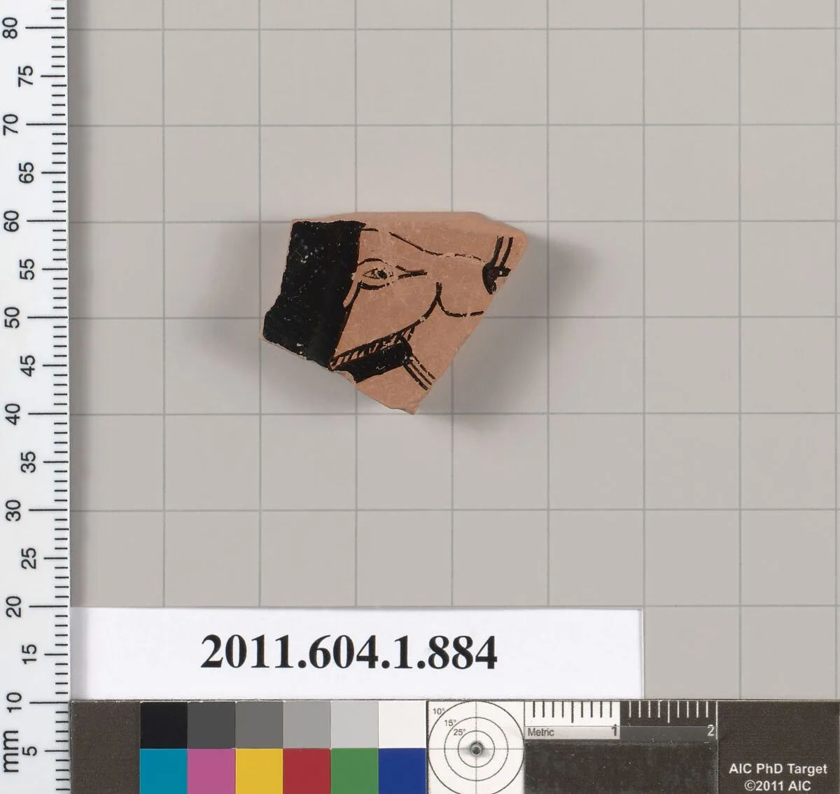 Terracotta fragment of a kylix (drinking cup) — Unknown