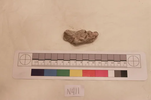 Stucco Fragment