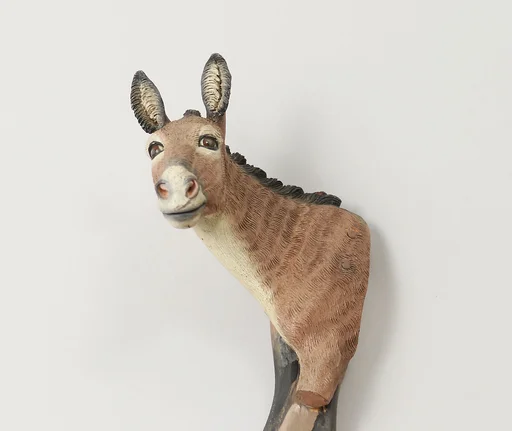Donkey's head