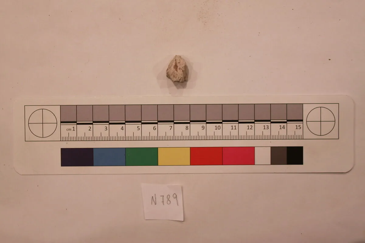 Stucco Fragment — Unknown