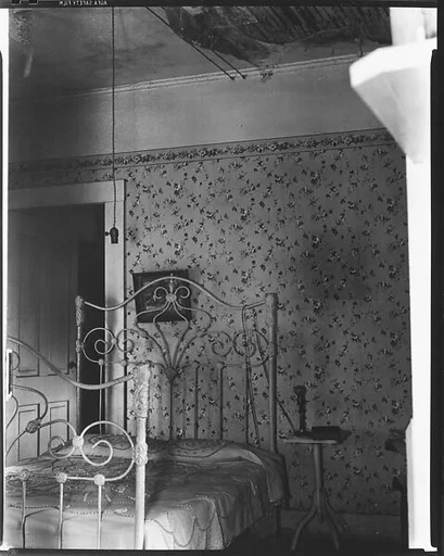 [Bedroom Interior with Hanging Light Fixture, Flower Print Wallpaper, and Decaying Ceiling]