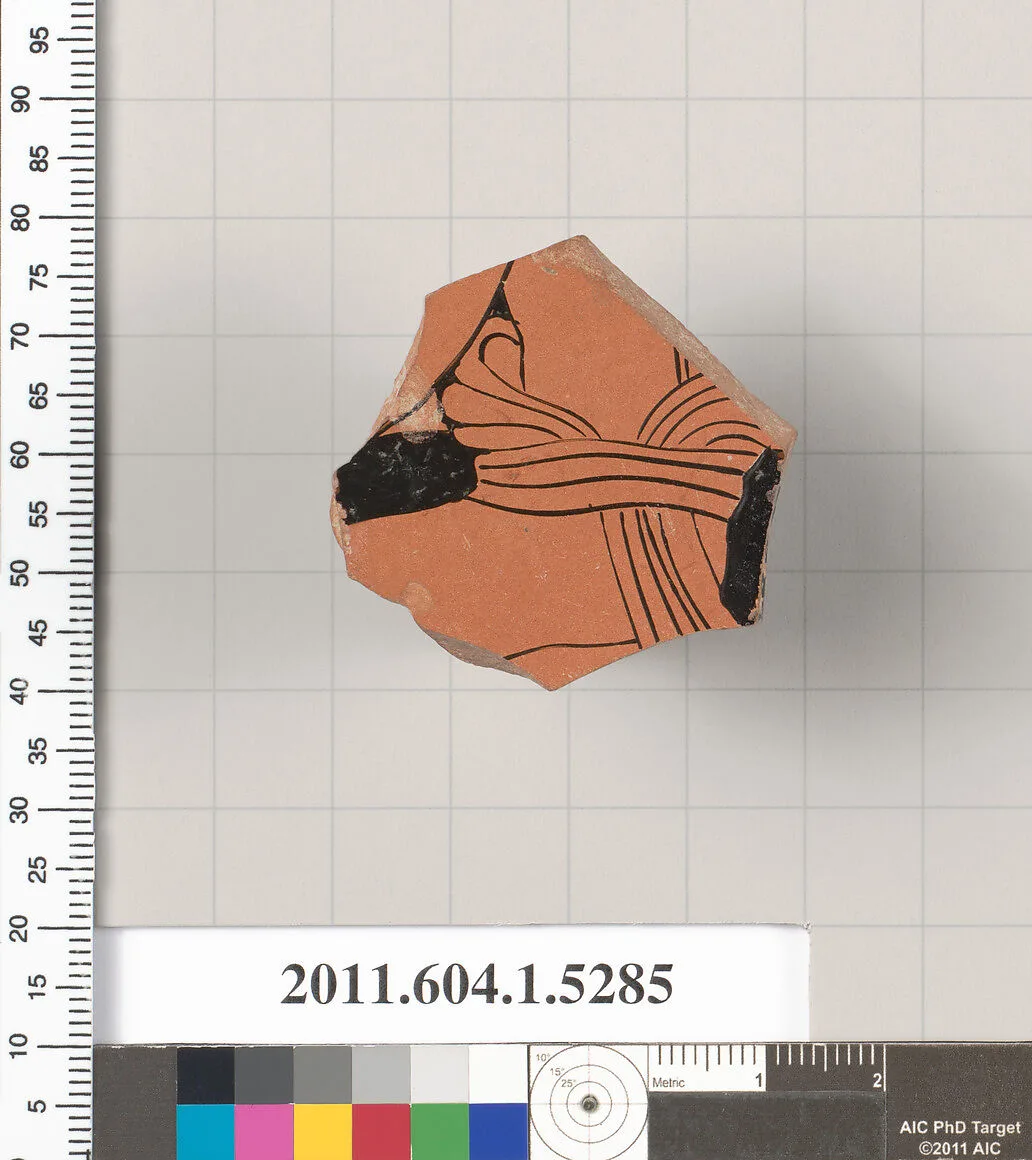 Terracotta fragment of a kylix (drinking cup) — Unknown