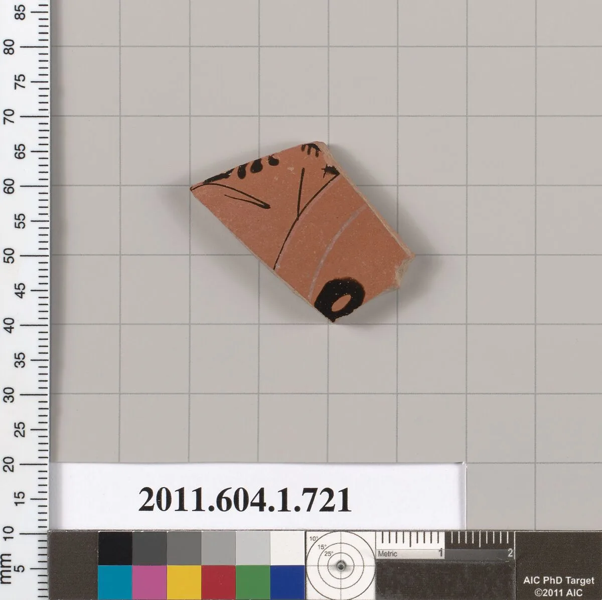 Terracotta fragment of a kylix (drinking cup) — Unknown