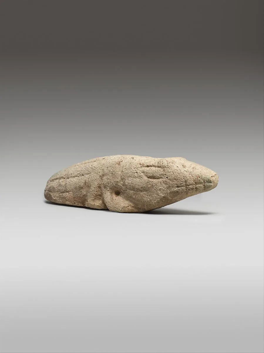Crocodile — Unknown