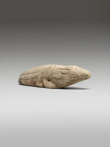 Crocodile