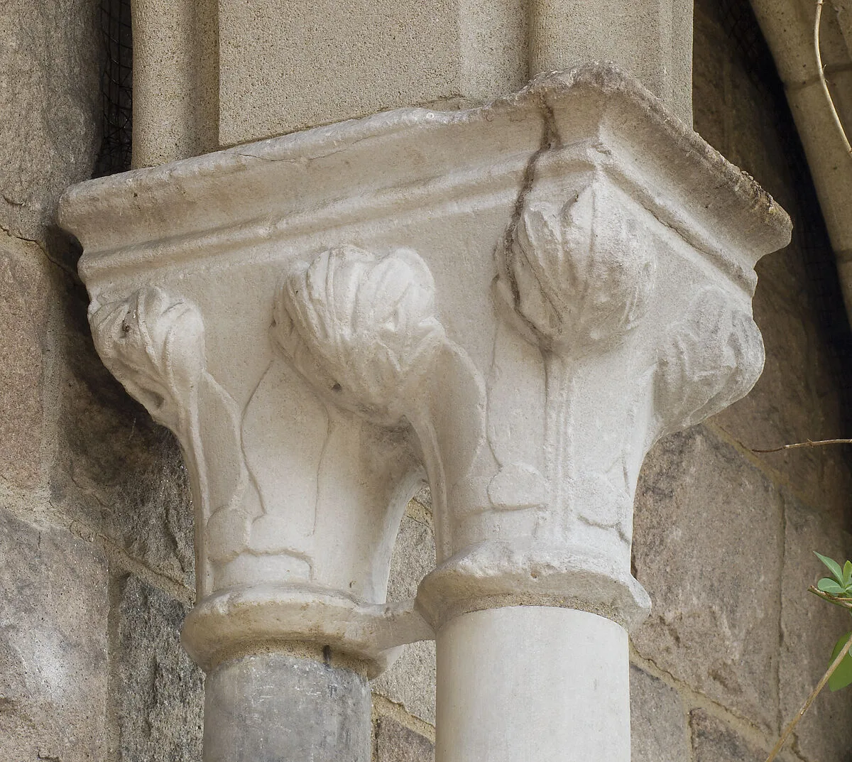 Double Capital — Unknown