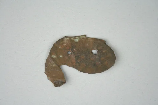 Fish Ornament