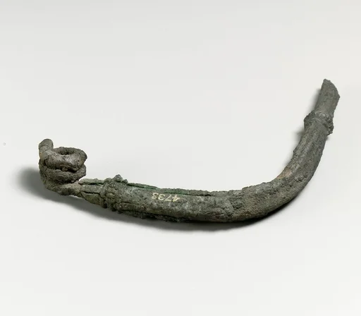 Fibula