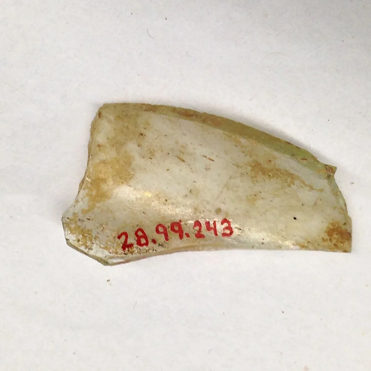 Fragment — Unknown